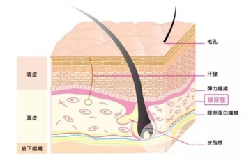 科普:玻尿酸的作用和玻尿酸多少錢一支價(jià)格介紹