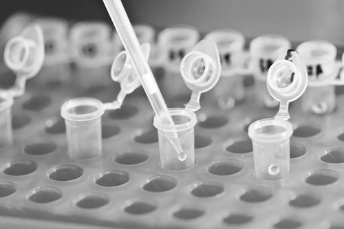 玻尿酸有幾種 玻尿酸的保持時(shí)間有多久