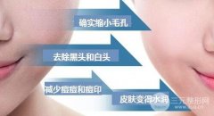 黑臉娃娃的價(jià)格是多少 果好不好