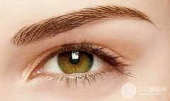 成都蜀尚蓉雅紋眉果好不好?多少錢