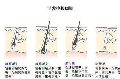 天津冰點e光脫毛價格大概多少？比北上廣低嗎？