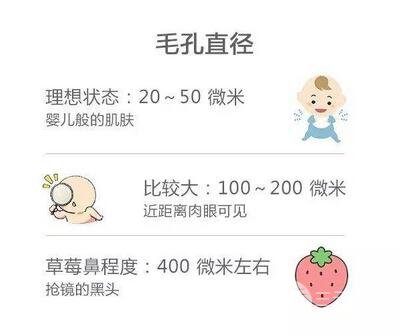 如何收縮臉部毛孔