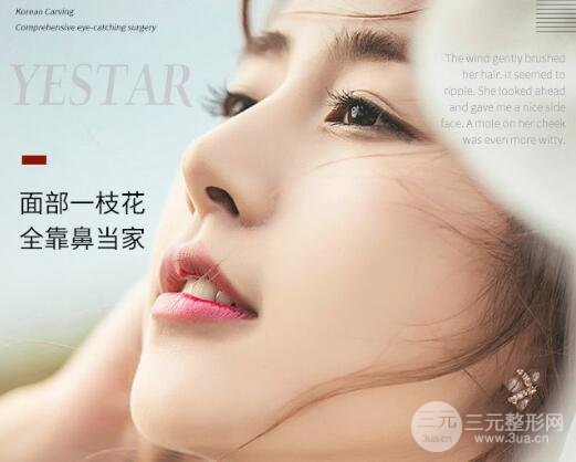 硅膠隆鼻要多少錢