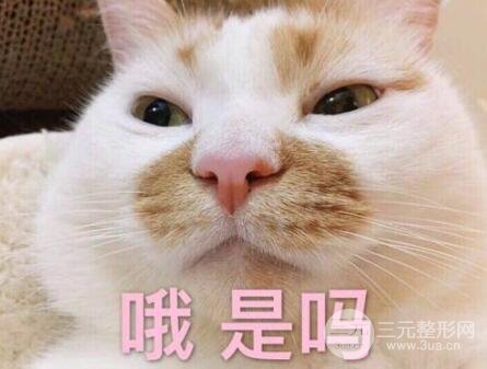 注射瘦腿的價(jià)格是多少？?jī)r(jià)格貴嗎瘦腿價(jià)格