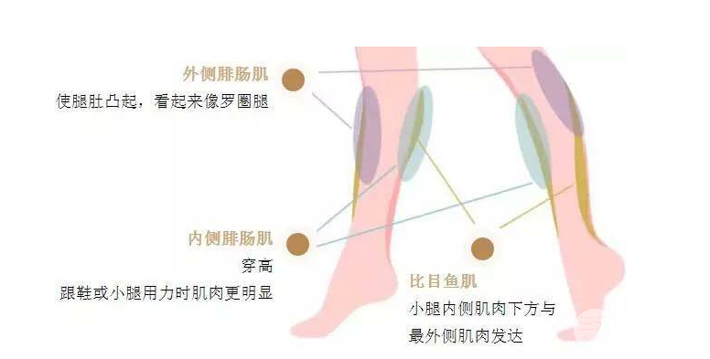 注射瘦臉注射瘦腿果維持時(shí)間
