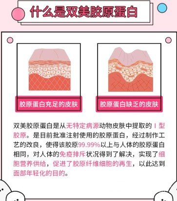 雙美膠原蛋白可以填充哪些部位