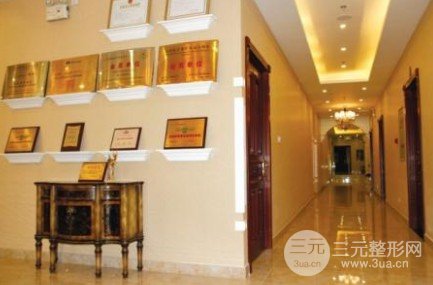 雙美膠原蛋白可以填充哪些部位