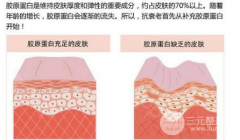 注射膠原蛋白能維持多久？功與作用講解~