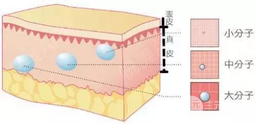 玻尿酸一支多少錢