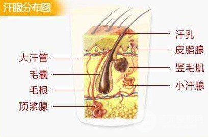 微創(chuàng)去除狐臭是什么