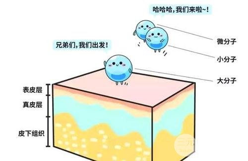 進(jìn)口玻尿酸十大排行榜