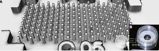 納米微針的功及原理