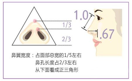 縮鼻翼頭要多少錢