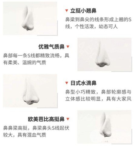 縮鼻翼頭要多少錢