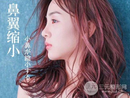 縮鼻翼頭要多少錢