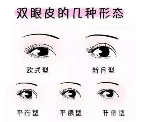 平扇和開扇的果圖