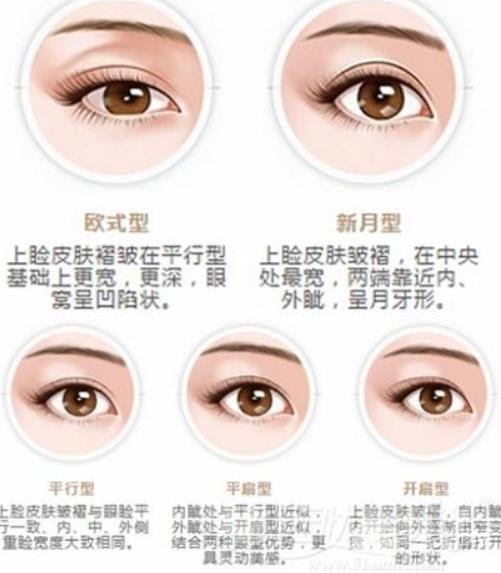 平扇和開扇的果圖對比，有什么區(qū)別呢？