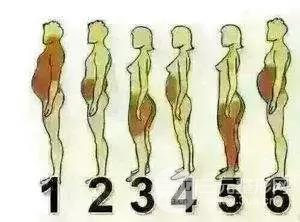 明星憑什么胖著玩玩說瘦就瘦？靠吃減肥藥嗎？