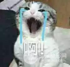 明星憑什么胖著玩玩說瘦就瘦？靠吃減肥藥嗎？