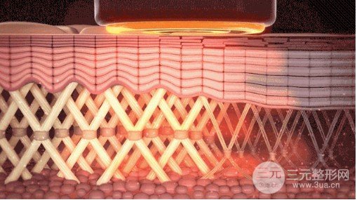 新一代熱瑪吉900發(fā)多少錢