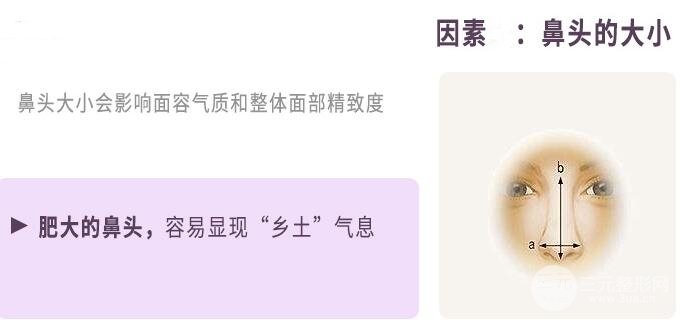 鼻頭鼻翼整形