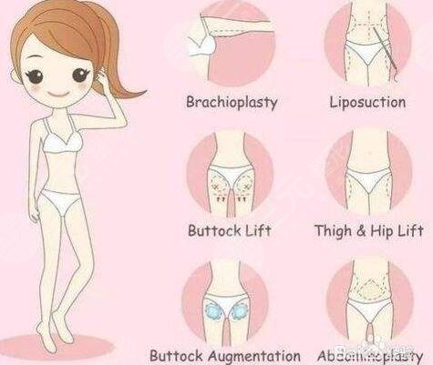 火鳳凰光纖溶脂