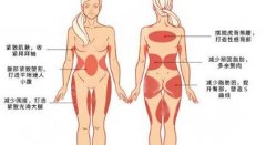 火鳳凰溶脂有用嗎？下巴溶脂果及經(jīng)歷