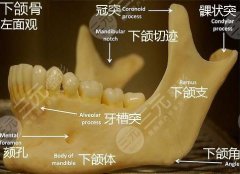 磨下頜角手術(shù)費(fèi)用，附上海下頜角案例