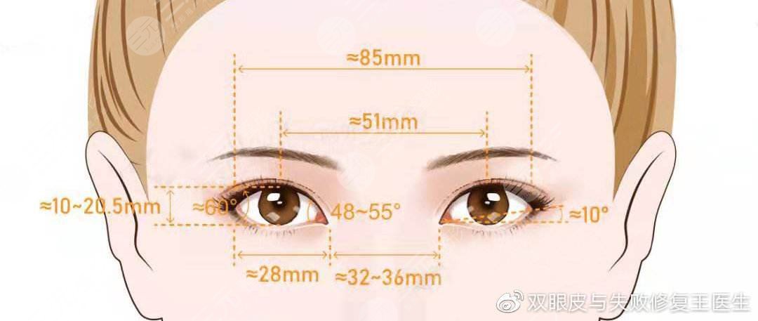 美眼的標(biāo)準(zhǔn)