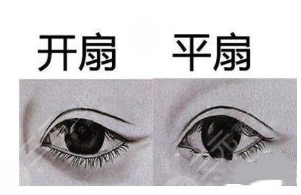 平扇和開(kāi)扇的果圖