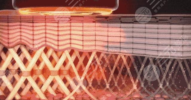 熱瑪吉的功作用