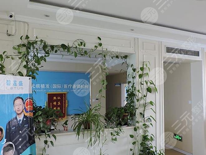 山東的植發(fā)醫(yī)院排名