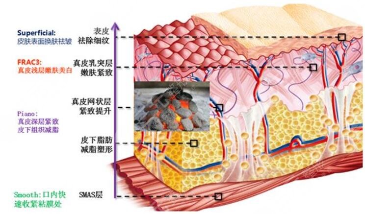 歐洲之星注意事項(xiàng)