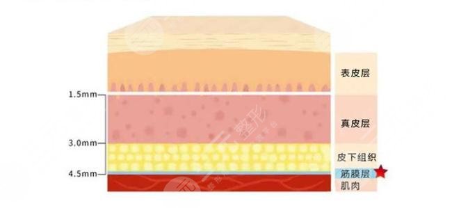 7d聚拉提和熱瑪吉的區(qū)別