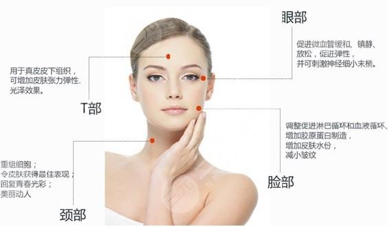 7d聚拉提和熱瑪吉的區(qū)別