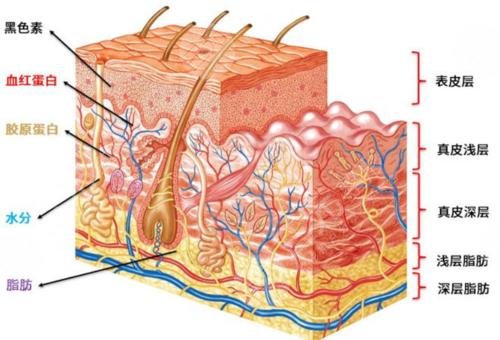 5d膠原光術后護理