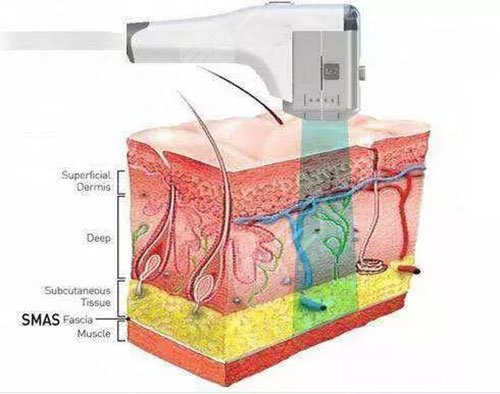 歐洲之星多少錢一次?費用是多少