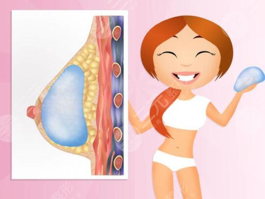 傲諾拉三個系列的價格是多少