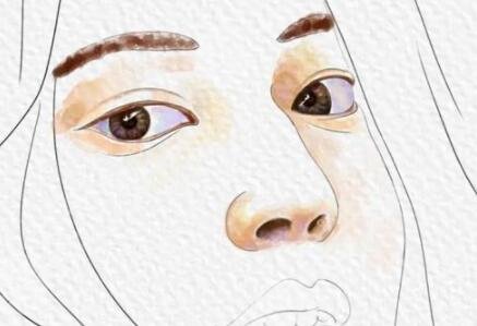 八大處范飛隆鼻多少錢