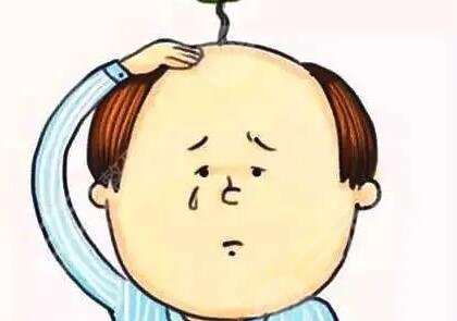 南昌碧蓮盛植發(fā)