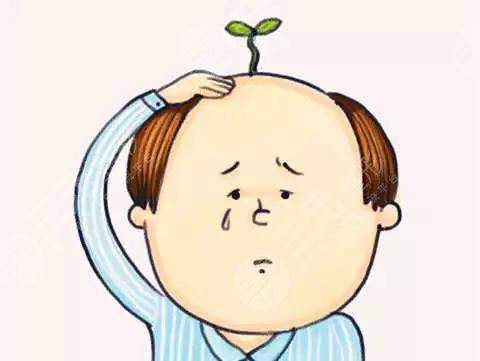 上海九院植發(fā)中心頭頂植發(fā)經(jīng)歷分享