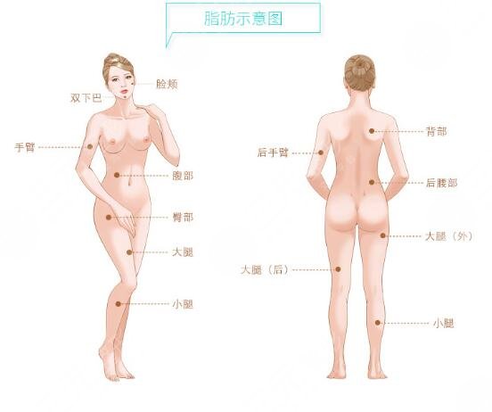 脂肪填充手術(shù)注意事項(xiàng)