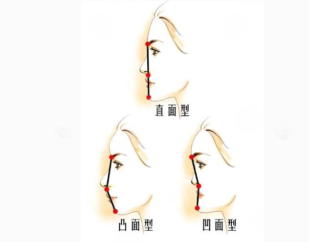 看臉型找鼻模板！小翹鼻還是微駝峰？2分鐘了解自己適合啥鼻型~