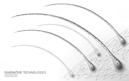 西京醫(yī)院植發(fā)價(jià)目表2020