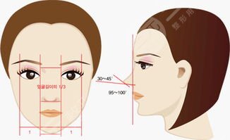 顱耳角在30°-60°之間整形前