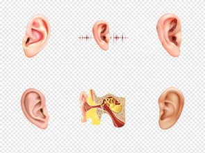 招風耳如何矯正