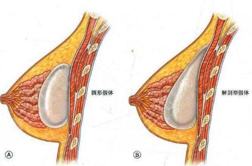 生產(chǎn)商不同
