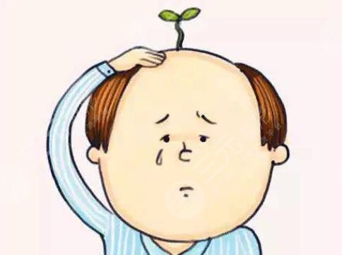 植發(fā)手術(shù)需要多少費用？影響因素盤點，告別脫發(fā)煩惱~