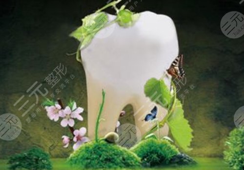 種植牙價格的影響因素