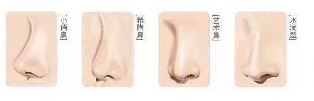 深圳藝星做鼻子案例果